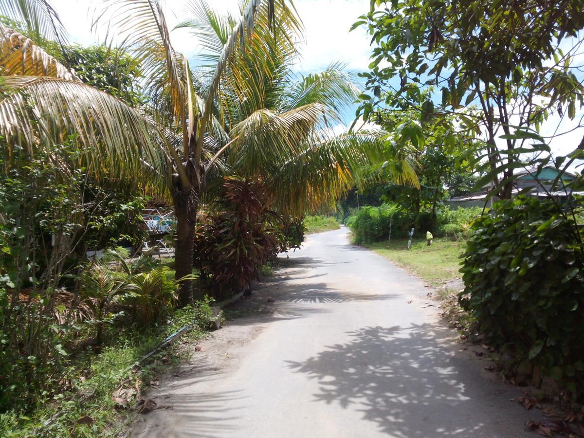 Pandan Beach Homestay Kampong Pandan Dış mekan fotoğraf