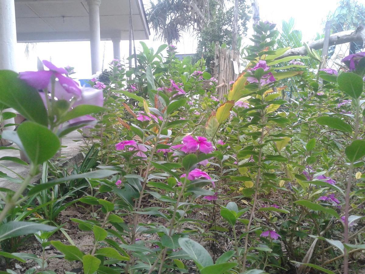 Pandan Beach Homestay Kampong Pandan Dış mekan fotoğraf