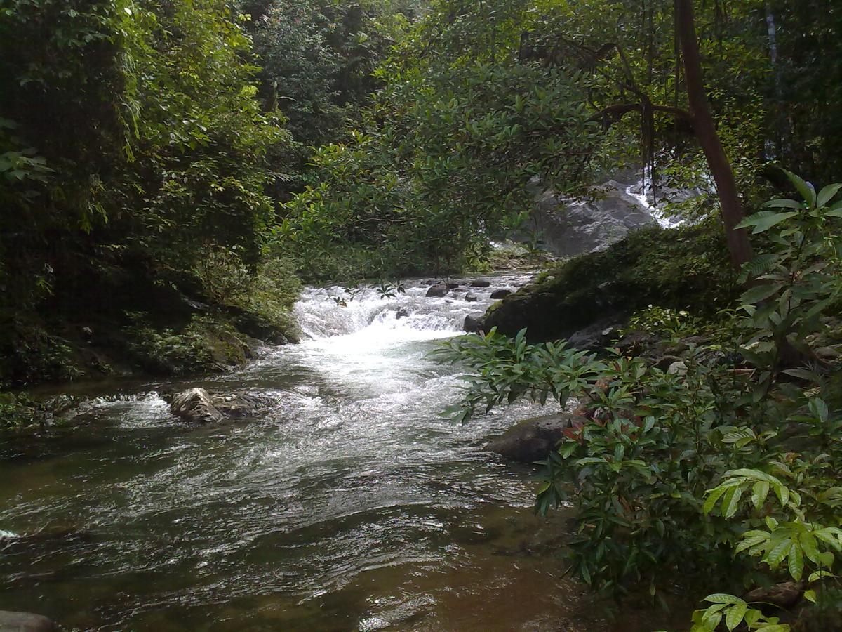 Pandan Beach Homestay Kampong Pandan Dış mekan fotoğraf